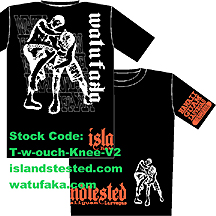 click to see entire design